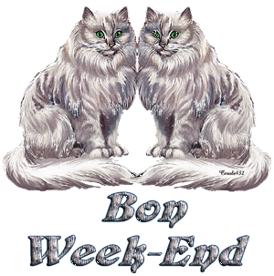 Gif animé bon week-end chats